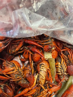 Castnet Seafood by null