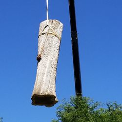 Treecare - Huge green ash tree
