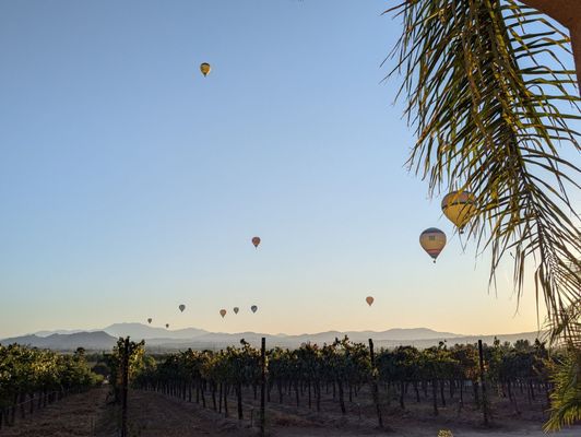 Carter Estate Winery and Resort by null