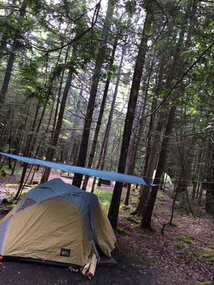 Seawall Campground by null