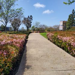 Carmel View Park - Entrance walkway to picnic tables