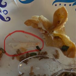 Joy Luck Cafe - Plastic wrapper that was inside my crab rangoon