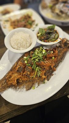 Deckhand Oyster Bar & Seafood by null