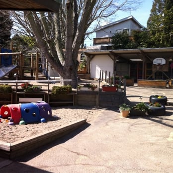 Chatham Nursery School - Backyard1 - Elementary Schools Near Me - Oakland, California
