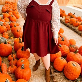 Showcase of Citrus - Attraction Farms Near Me - Clermont, Florida
