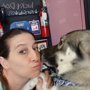 Jessicas Purdy Paws 2 - Pet Groomers Near Me - Akron, Ohio Jessicas Purdy Paws 2 - Pet Groomers Near Me - Akron, Ohio