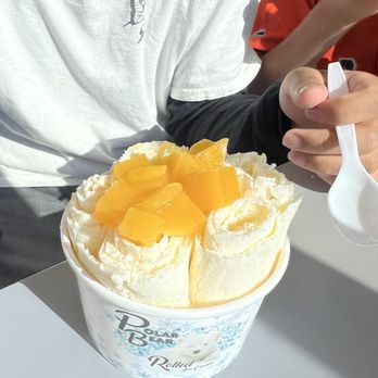 Polar Bear Rolled Ice Cream - Ice Cream & Frozen Yogurt Near Me - Union City, California Polar Bear Rolled Ice Cream - Ice Cream & Frozen Yogurt Near Me - Union City, California