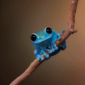 BlueFrog Plumbing & Drain - Blue Frog didn't do any work for me  with the price they presented - Water Heater Installation/Repair Near Me