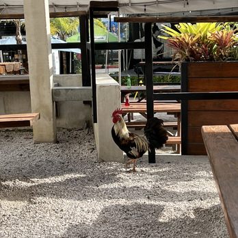 Lote 23 - Food Stands Near Me - Santurce, Puerto Rico Lote 23 - Food Stands Near Me - Santurce, Puerto Rico