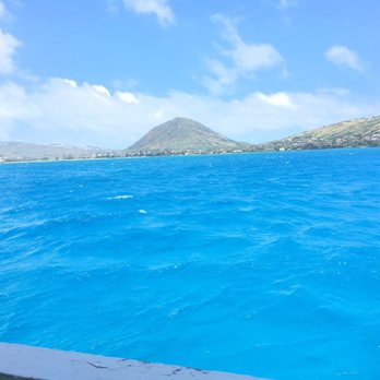 Island Divers - Picture from the boat - Scuba Diving Near Me - Honolulu, Hawaii Island Divers - Picture from the boat - Scuba Diving Near Me - Honolulu, Hawaii
