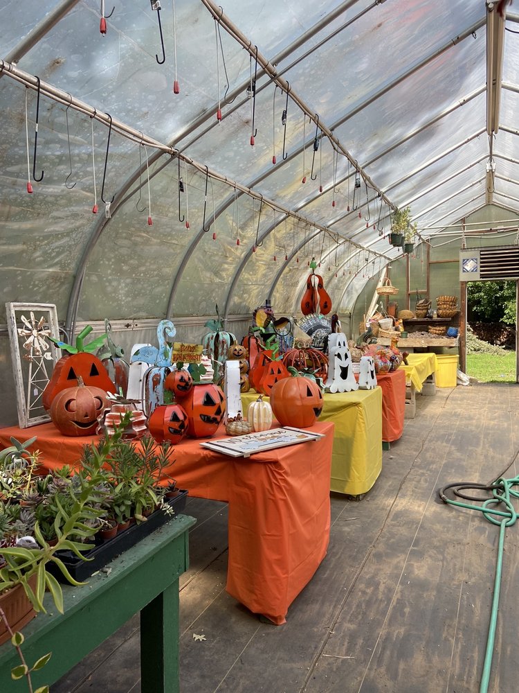 THE GROWTH Updated September 2024 55 Photos & 11 Reviews 167