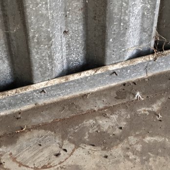 CubeSmart Self Storage - Rats feces and urine - Self Storage Near Me - Benicia, California CubeSmart Self Storage - Rats feces and urine - Self Storage Near Me - Benicia, California