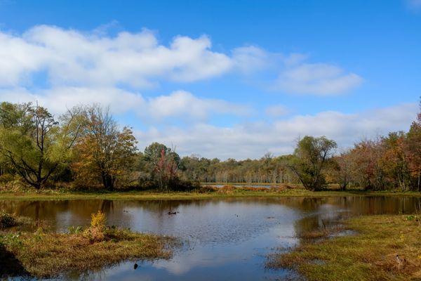 Doll's Head Trail by null
