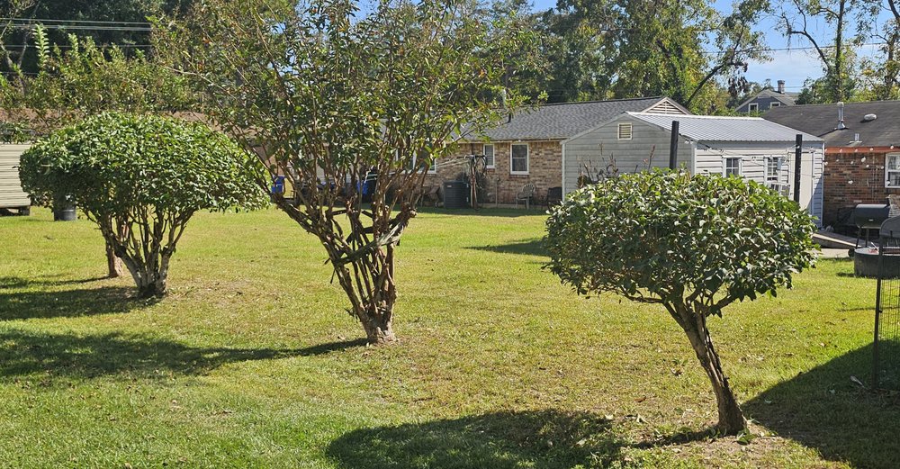 P Juan Lawn Service - tree service in Prattville, AL