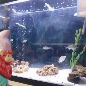 Ocean Adventures - Aquariums Near Me - Gulfport, Mississippi