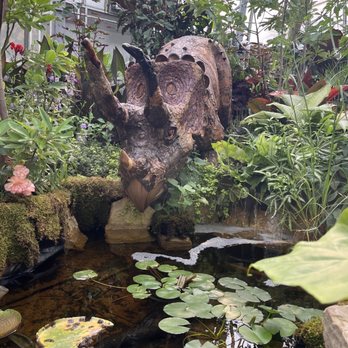 Krohn Conservatory - Botanical Gardens Near Me - Cincinnati, Ohio Krohn Conservatory - Botanical Gardens Near Me - Cincinnati, Ohio