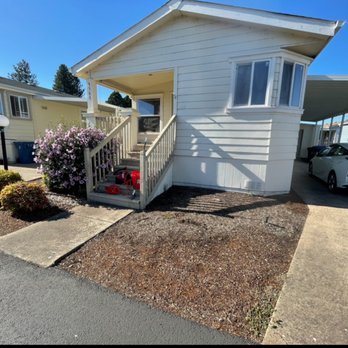 SmartScape Solutions - Bushes Before - Lawn Services Near Me - Salem, Oregon SmartScape Solutions - Bushes Before - Lawn Services Near Me - Salem, Oregon