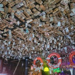 Yukon Bar - The Million $ ceiling