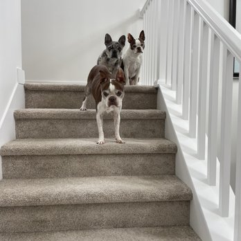 Traverse Mountain Pet Care - Love Max, Stella and Charlee - Veterinarians Near Me - Lehi, Utah Traverse Mountain Pet Care - Love Max, Stella and Charlee - Veterinarians Near Me - Lehi, Utah