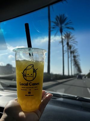 Local Canes by null