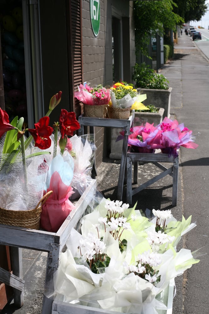GREENLANE FLOWERS Updated August 2024 167 Gt South Rd, Auckland