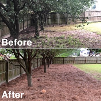 Pros Landscaping - Lawn Services Near Me