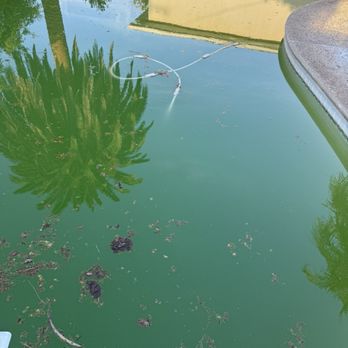 Cox Pool Service & Repair - Pool Cleaners Near Me - Clovis, California