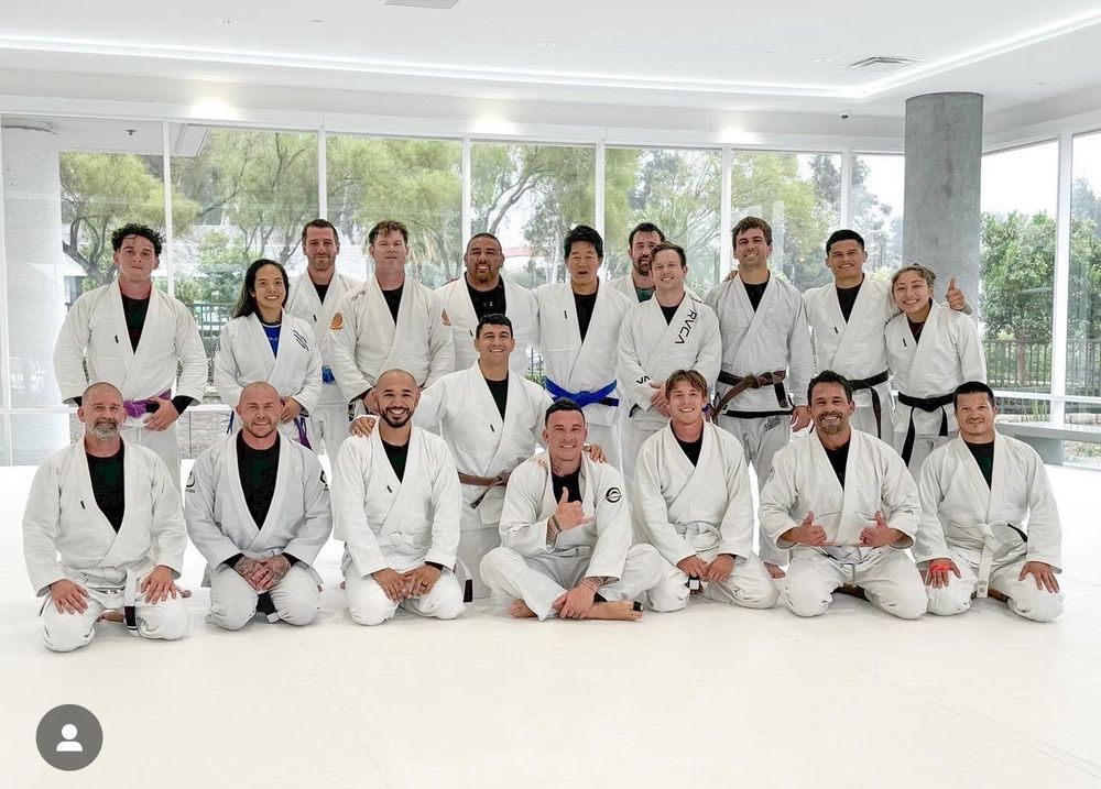 Art of Jiu Jitsu Logo