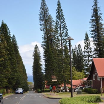 Honolua Store - Coffee & Tea Near Me - Lahaina, Hawaii Honolua Store - Coffee & Tea Near Me - Lahaina, Hawaii
