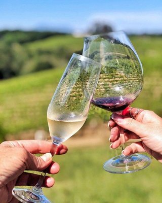 Iron Horse Vineyards by null