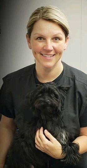 Gingers Grooming - pet boarding facility in Piedmont, SC