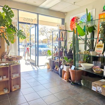 Pure Water & Ice - Water Stores Near Me - Newark, California Pure Water & Ice - Water Stores Near Me - Newark, California
