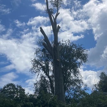 Patriot Tree Experts - Tree Services Near Me - Charleston, West Virginia Patriot Tree Experts - Tree Services Near Me - Charleston, West Virginia