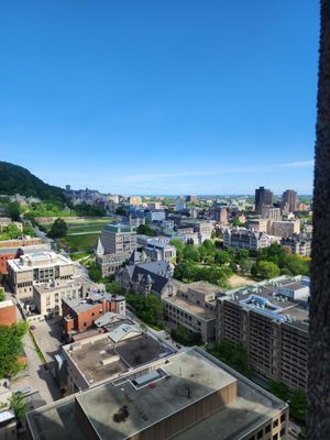 Hotel Omni Mont-Royal by null