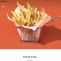 Thick Chick - What the fries were supposed to look like.
