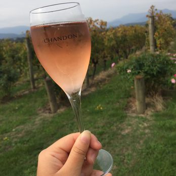Domaine Chandon - A nice glass of the brut rose from their tasting - great wine with a great view! - Wineries Near Me - Coldstream, VIC Domaine Chandon - A nice glass of the brut rose from their tasting - great wine with a great view! - Wineries Near Me - Coldstream, VIC