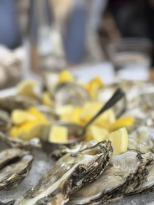 Volo Restaurant Wine Bar