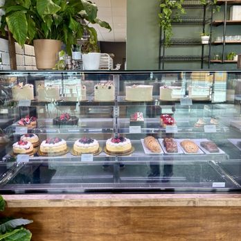 Forty Three Bakery - Pastry case - Bakeries Near Me - Salt Lake City, Utah Forty Three Bakery - Pastry case - Bakeries Near Me - Salt Lake City, Utah