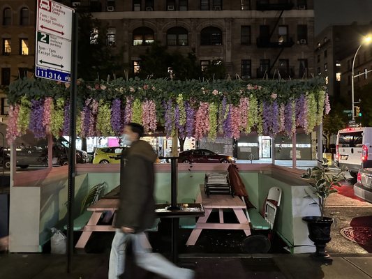 Tropical Sensation by null