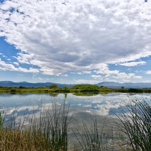 BIJOU MUNICIPAL GOLF COURSE Updated January 2025 16 Photos 29