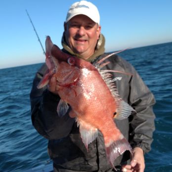 Salty Dog Charters - HOG FISH! 1/29/19 Had a Blast LOTS of fish caught today! - Fishing Near Me - Maderira Beach, Florida Salty Dog Charters - HOG FISH! 1/29/19 Had a Blast LOTS of fish caught today! - Fishing Near Me - Maderira Beach, Florida
