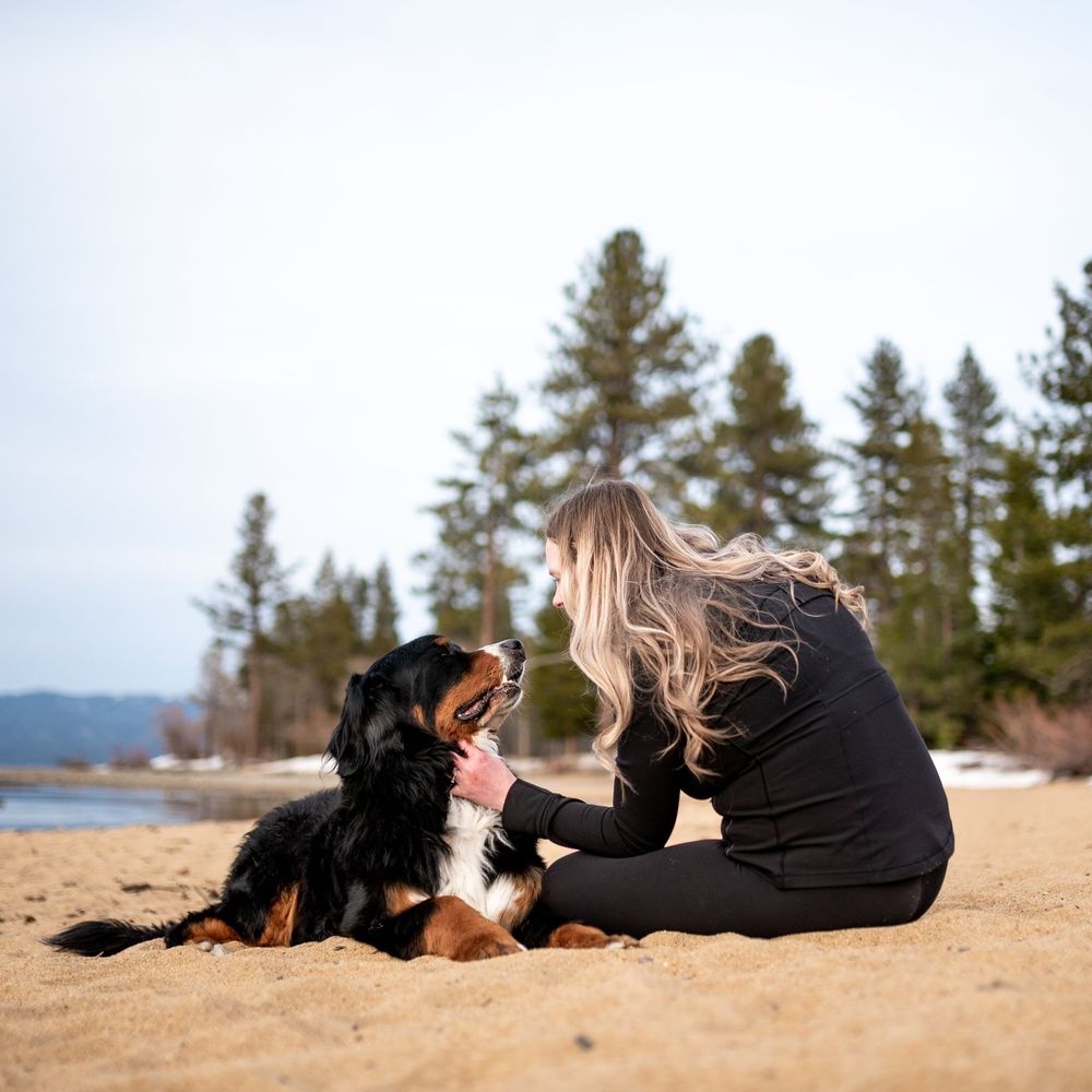 BMAC Pet Photography - Pet Photography Near Me BMAC Pet Photography - Pet Photography Near Me