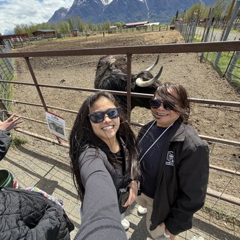 Reindeer Farm - Zoos Near Me - Palmer, Alaska