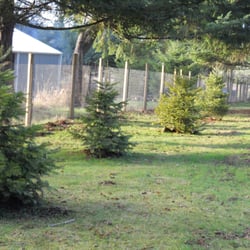 The Original Potted Christmas Tree Company - People buy trees to; block the sight of their neighbors, block wind, improve wildlife habitat, and to 'beautify' their property.