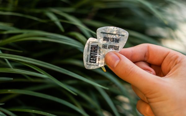 Central Bar + Kitchen by null