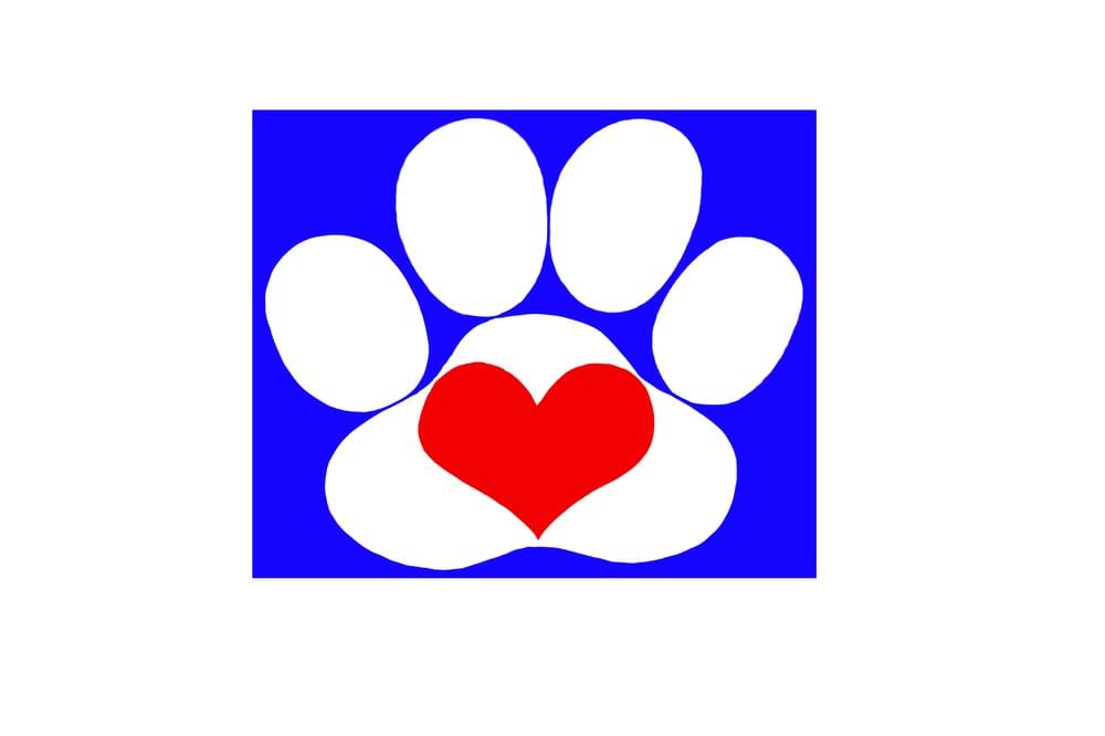 Lots Of Love Pet Care and Biscuit Bar - pet boarding facility in Tucson, AZ