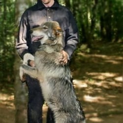 THE SLOTH CENTER AT ZOOLOGICAL WILDLIFE CONSERVATION CENTER - CLOSED