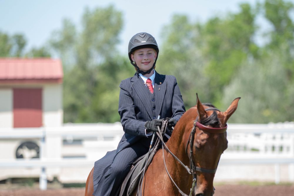 Silver Star Stables - equestrian in Liberty, MO