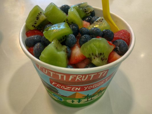 Tutti Frutti Frozen Yogurt by null