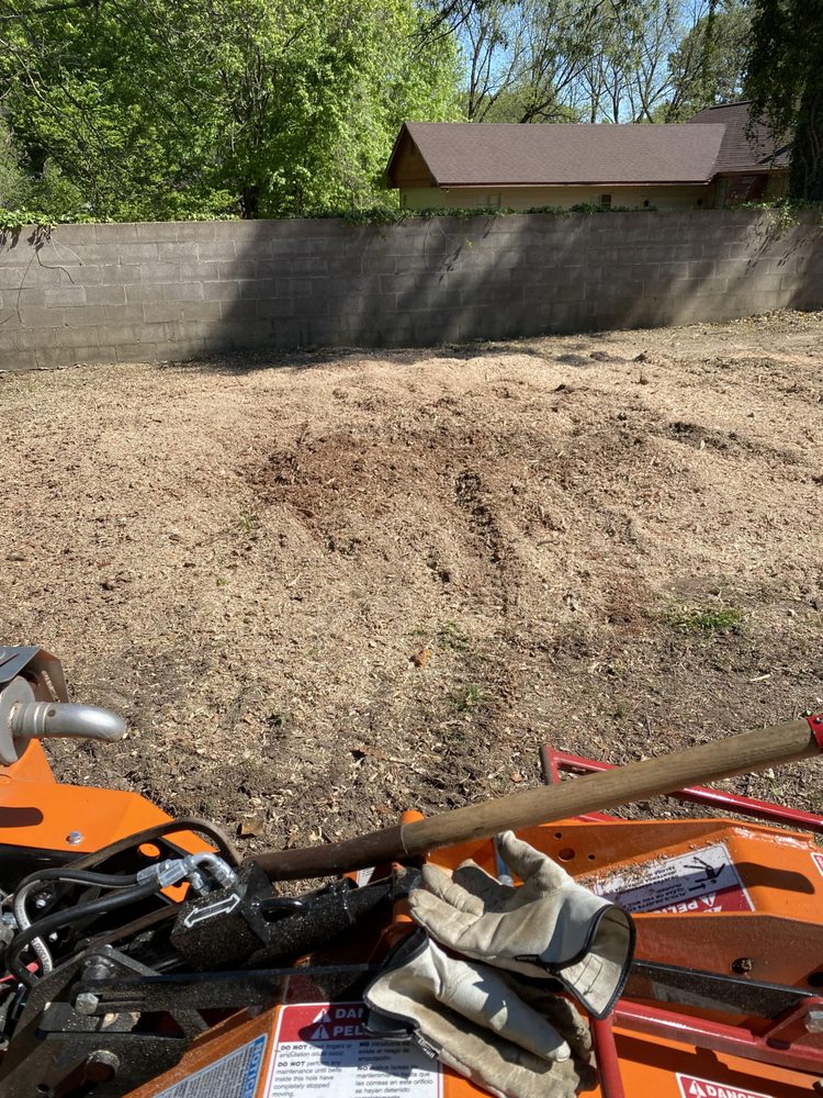 A.D&E Stump Grinder Services - tree service in Memphis, TN